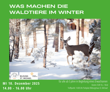 2025-12-10 Waldtiere_St